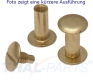 100er Pack Buchschrauben Chicagoschrauben 90mm Kopf 10mm Gold