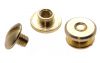 10er Pack Buchschrauben Chicagoschrauben 2mm Kopf 7mm Gold