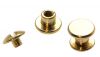 10er Pack Buchschrauben Chicagoschrauben 3,5mm Kopf 7mm Gold