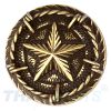 Concho #002 30mm Altmessing Western Texas Stern Star mit Stacheldraht Conchos